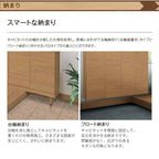 玄関収納 ラシッサS カウンター型(C) H21 間口740×高さ2160×奥行360mm フロート/台輪納まり LIXIL リクシル 下駄箱 組立式 リフォーム 後付け