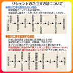 玄関引き戸 リフォーム用 リシェント 玄関引戸2 PG仕様 ランマなし 2枚建 P26型 W1195～2120×H1761～2277mm リクシル 特注 工事付対応可能玄関ドア 引き戸 和風 8枚目