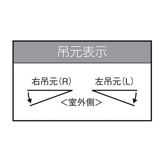 クリエラガラスドアPG 半外付型 1220 W1240×H2017mm 店舗ドア 一枚ガラス仕様 親子ポストなし LIXIL リクシル 複層ガラス 土間 玄関 汎用 交換 ガラスドア おしゃれ 店舗 お店用 ドア リフォーム DIY 4枚目