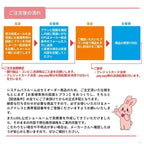 システムバスルーム リデア Hタイプ S1216(0.75坪)サイズ 1200×1600mm  LIXIL リクシルシステムバス  戸建用…