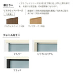 システムキッチン リシェル LIXIL 2wayクローゼット 間口180cm 奥行45/65cm 高さ215/235cm リクシル 2ウェイ キッチン収納 食器棚 背面収納 グループ4