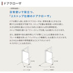 特注 玄関ドア プレナスX C83型 片袖ドア オーダーサイズ W718~1442×H1712~2421mm リクシル トステム LIXIL アルミサッシ 玄関 扉 交換 リフォーム DIY